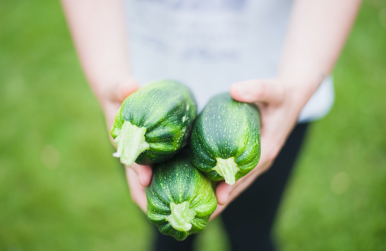 Ogródek warzywny – Twoja własna oaza natury i smaku