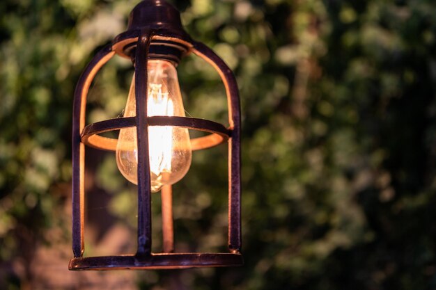 Jak wybrać idealne oświetlenie ogrodowe dla twojego domu?