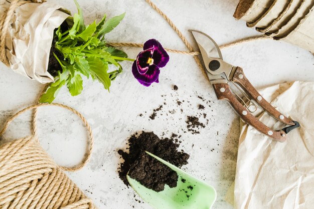 Jak wybrać idealny kompostownik do twojego ogrodu?