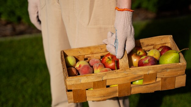 Innowacyjne rozwiązania do przechowywania plonów z ogrodu przez cały rok